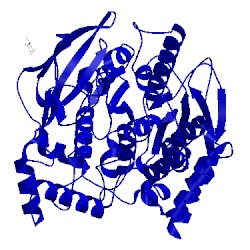 Image of CATH 1cfj