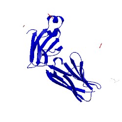 Image of CATH 1cfn