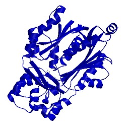 Image of CATH 1cgk