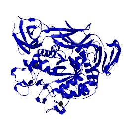 Image of CATH 1cgt