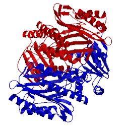 Image of CATH 1chm