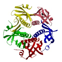 Image of CATH 1chp