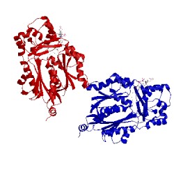 Image of CATH 1chw