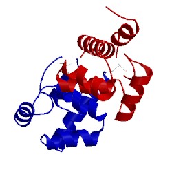 Image of CATH 1ci4