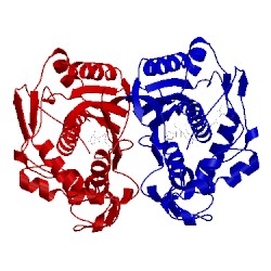 Image of CATH 1ci7