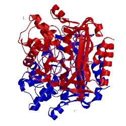 Image of CATH 1ci8