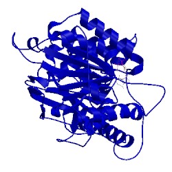 Image of CATH 1civ