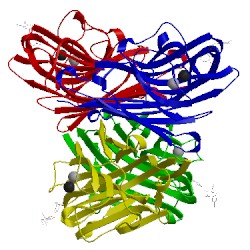 Image of CATH 1ciw