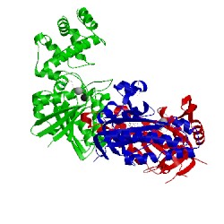 Image of CATH 1cjk