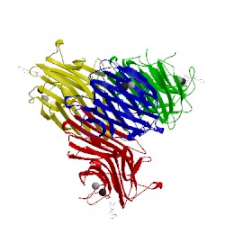 Image of CATH 1cjp