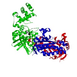 Image of CATH 1cju