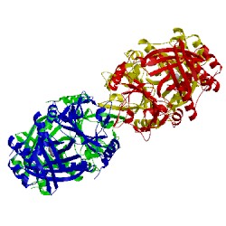 Image of CATH 1cjx