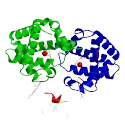 Image of CATH 1cls