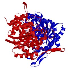 Image of CATH 1cm7