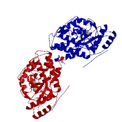 Image of CATH 1cm8