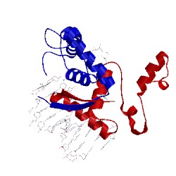 Image of CATH 1cma