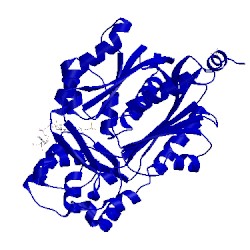 Image of CATH 1cml