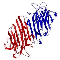 Image of CATH 1cn1