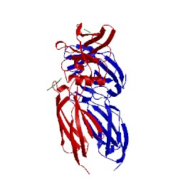Image of CATH 1cn4