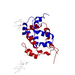 Image of CATH 1co0