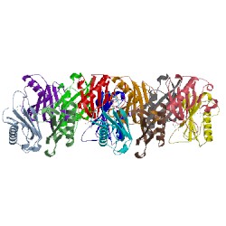 Image of CATH 1com