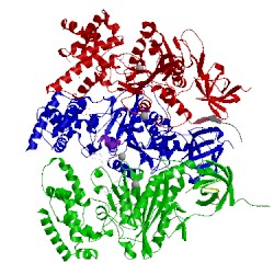 Image of CATH 1cow