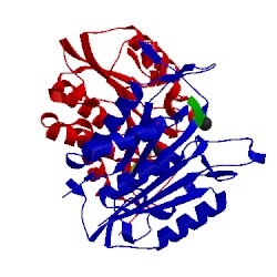 Image of CATH 1cp3