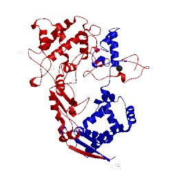 Image of CATH 1cp9