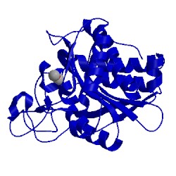 Image of CATH 1cpx