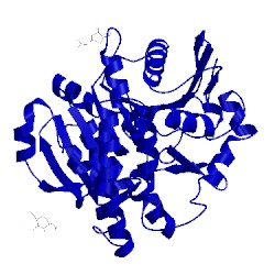 Image of CATH 1cpy