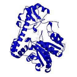 Image of CATH 1cq6