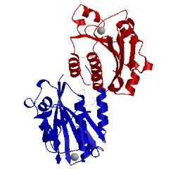 Image of CATH 1cqp