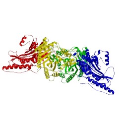 Image of CATH 1crk