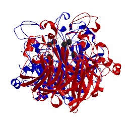 Image of CATH 1cru