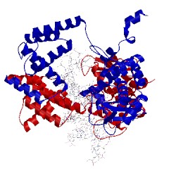 Image of CATH 1crx