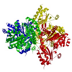 Image of CATH 1cs1
