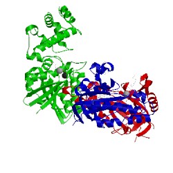 Image of CATH 1cs4