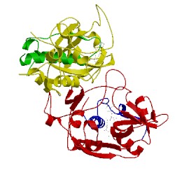 Image of CATH 1csb