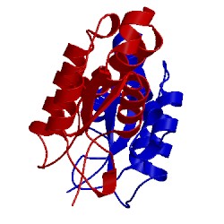 Image of CATH 1csg