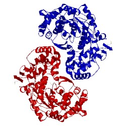 Image of CATH 1csj