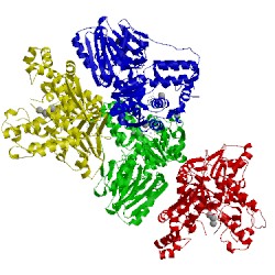 Image of CATH 1ct9