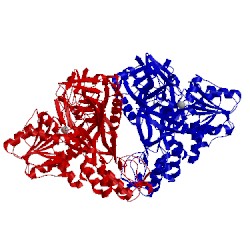 Image of CATH 1cu1