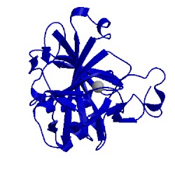 Image of CATH 1cva