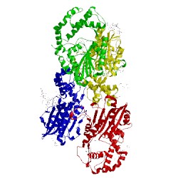 Image of CATH 1cvi