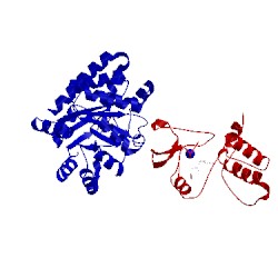 Image of CATH 1cw2