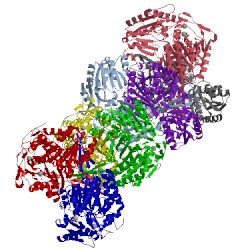 Image of CATH 1cw3