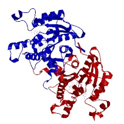 Image of CATH 1cwu