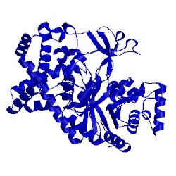 Image of CATH 1cwy