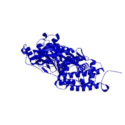 Image of CATH 1cy8