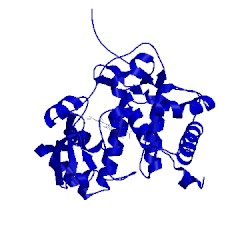 Image of CATH 1cyf